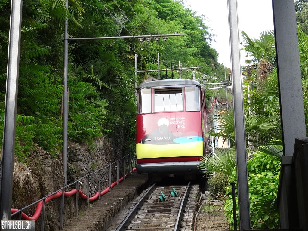 k-DSC07147.JPG
