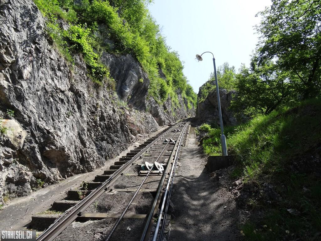 k-DSC07286.JPG