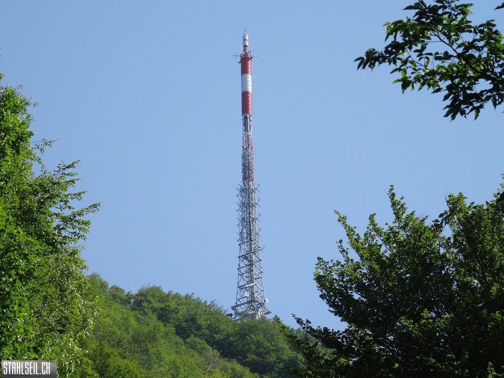 k-DSC07313.JPG