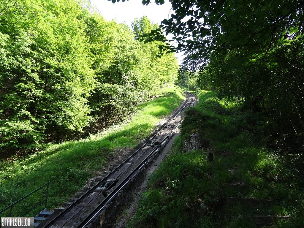 k-DSC07328.JPG