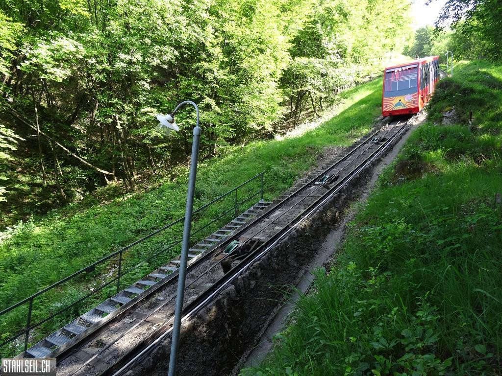 k-DSC07335.JPG