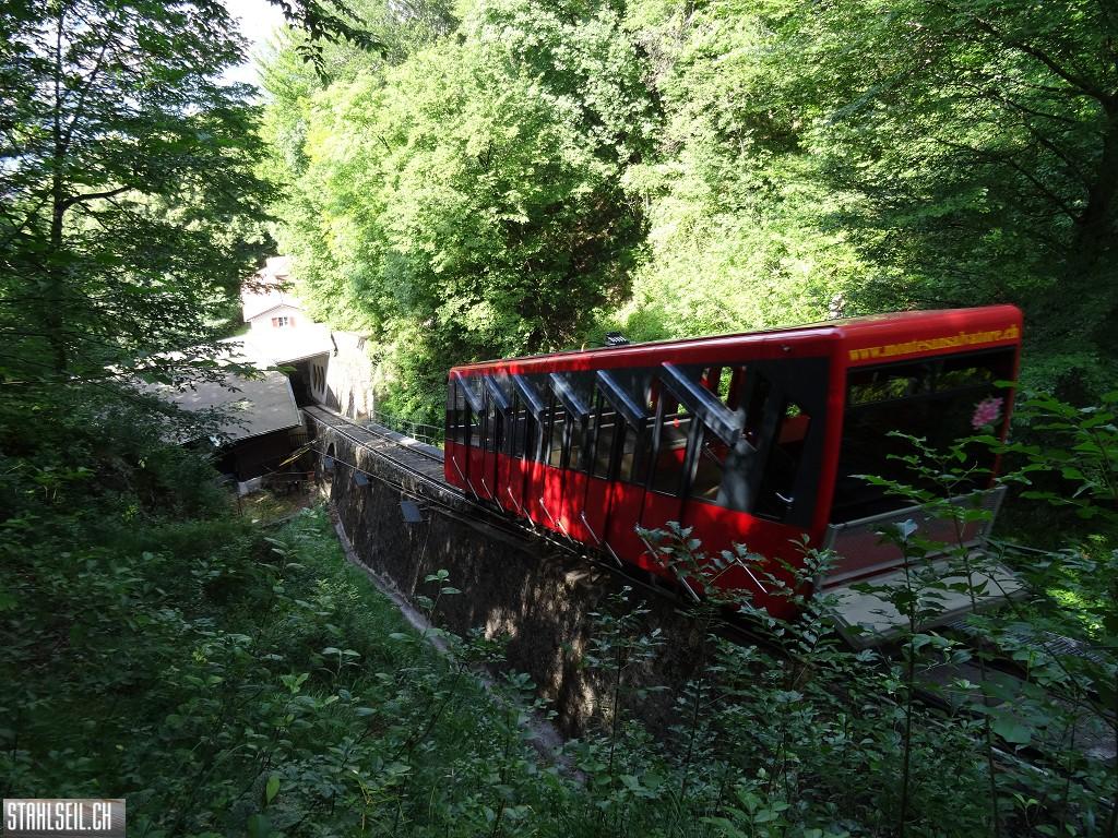 k-DSC07337.JPG