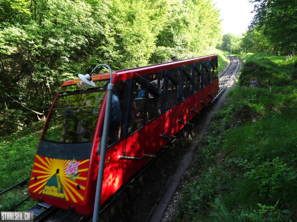 k-DSC07348.JPG