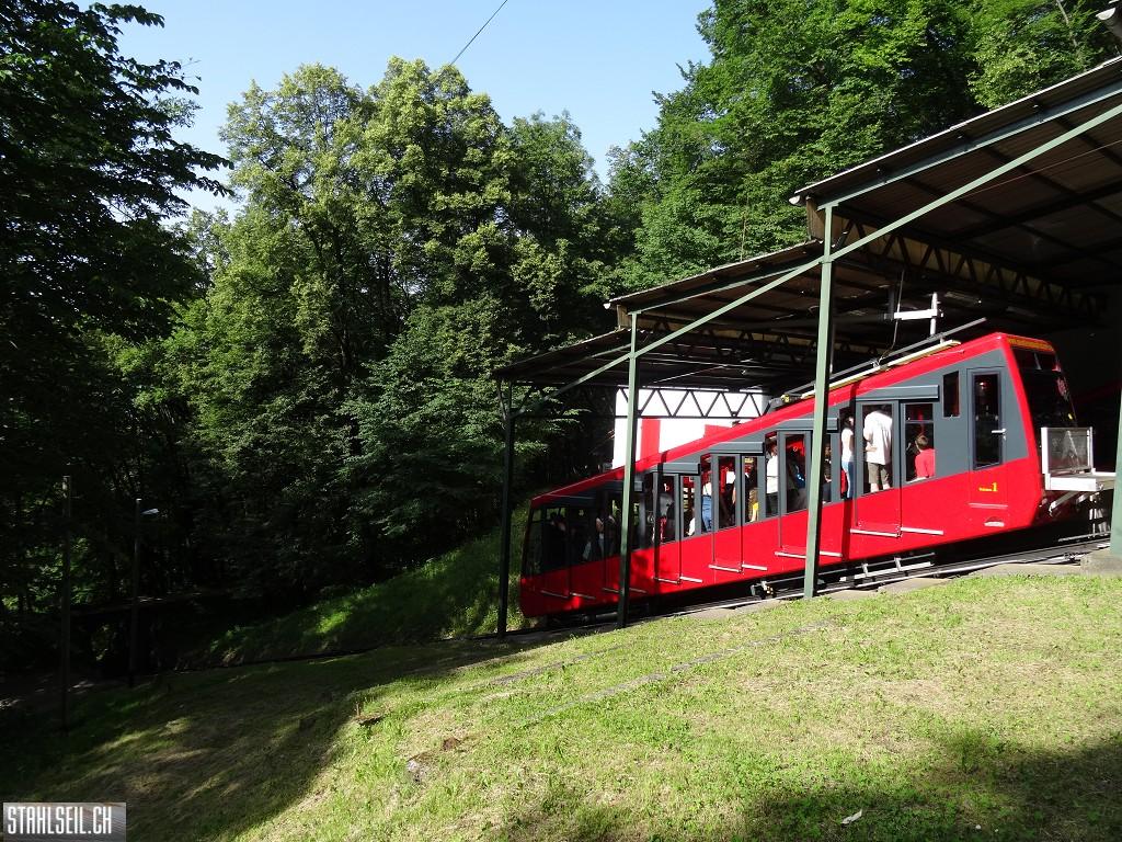 k-DSC07359.JPG