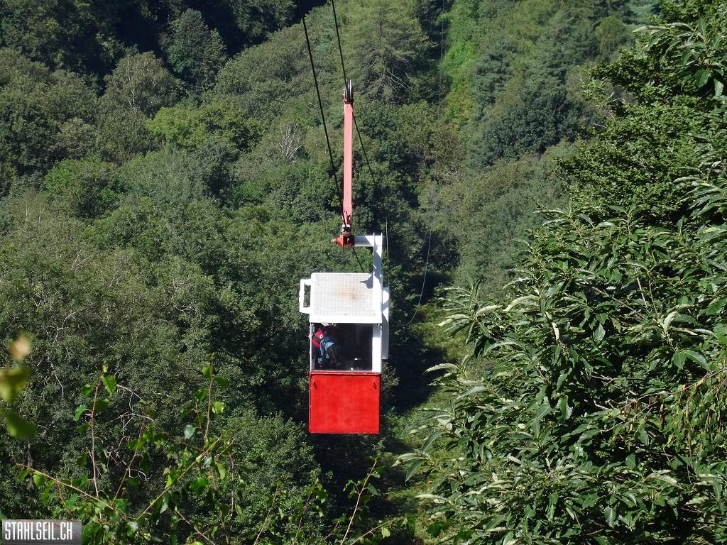 k-DSC08175.JPG