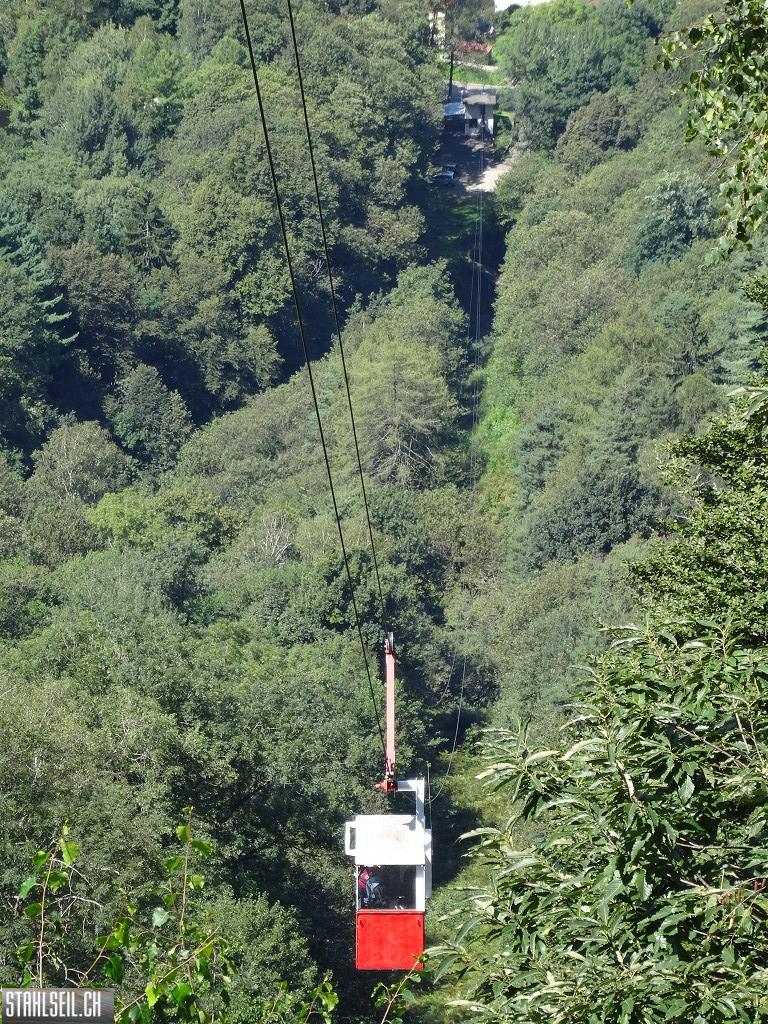 k-DSC08177.JPG
