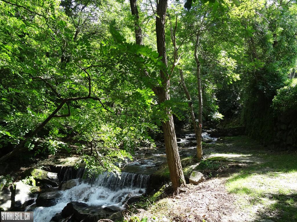 k-DSC08065.JPG