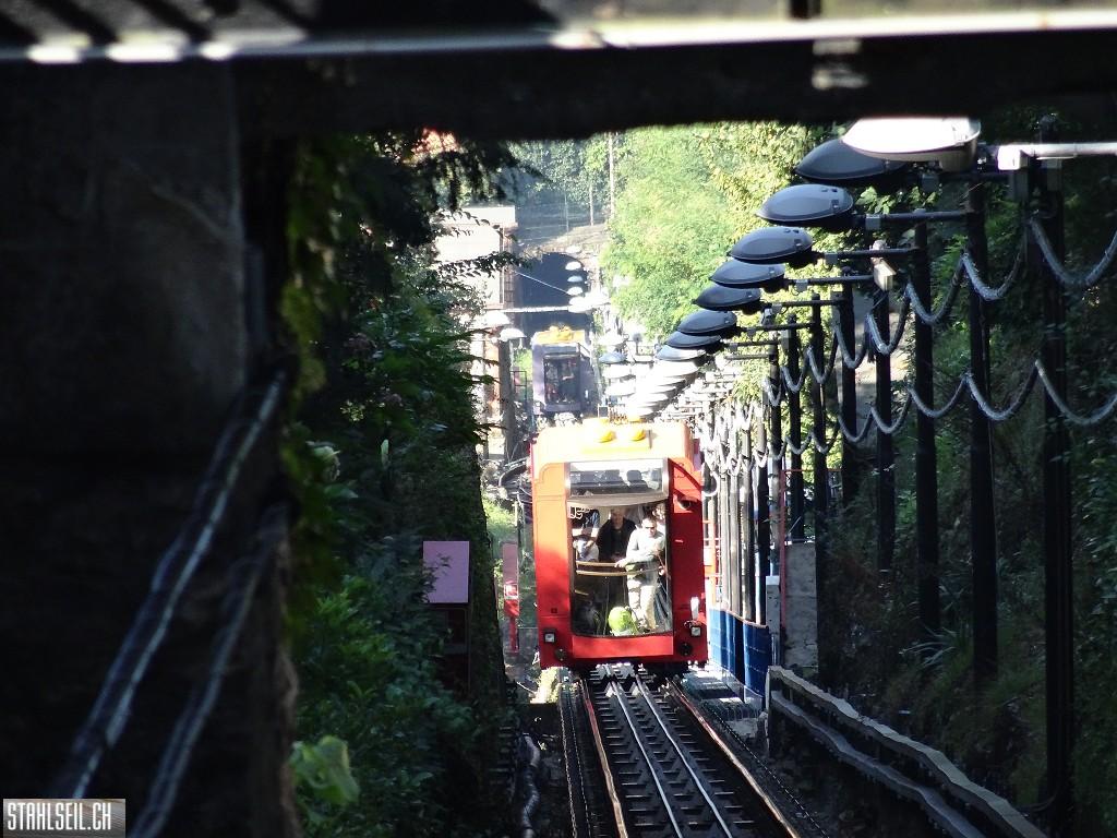k-DSC09008.JPG