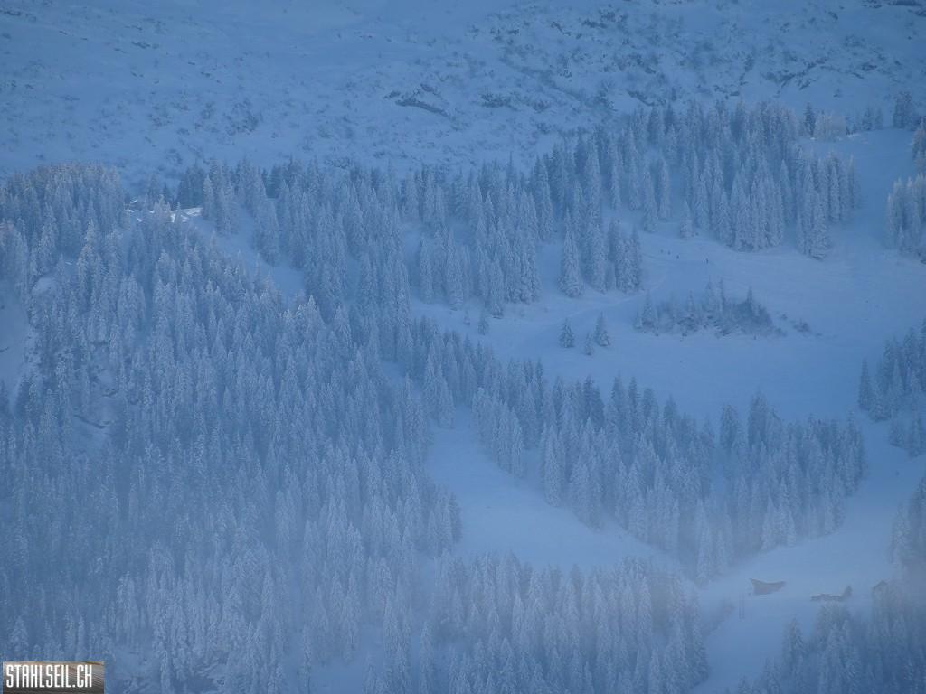 k-DSC00793.JPG