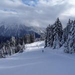 k-DSC01010.JPG