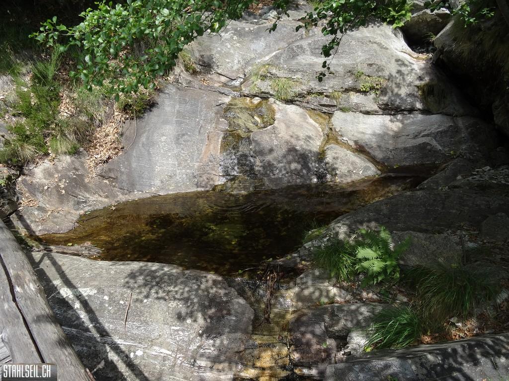 k-DSC04131.JPG