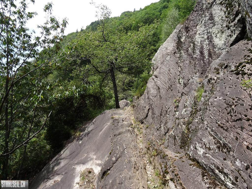 k-DSC04128.JPG