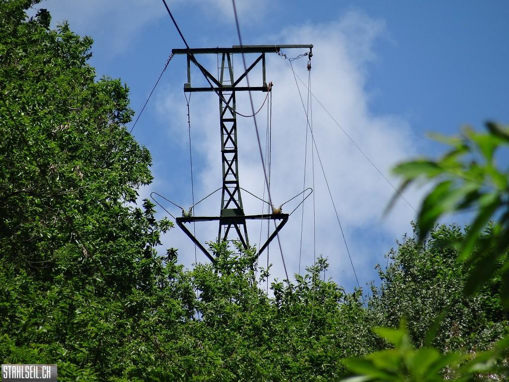 k-DSC02700.JPG