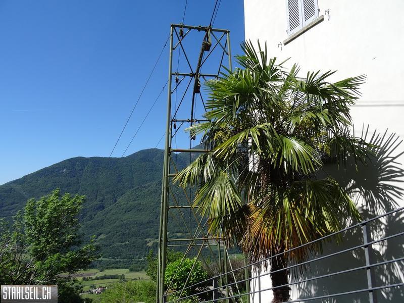 k-DSC02638.JPG