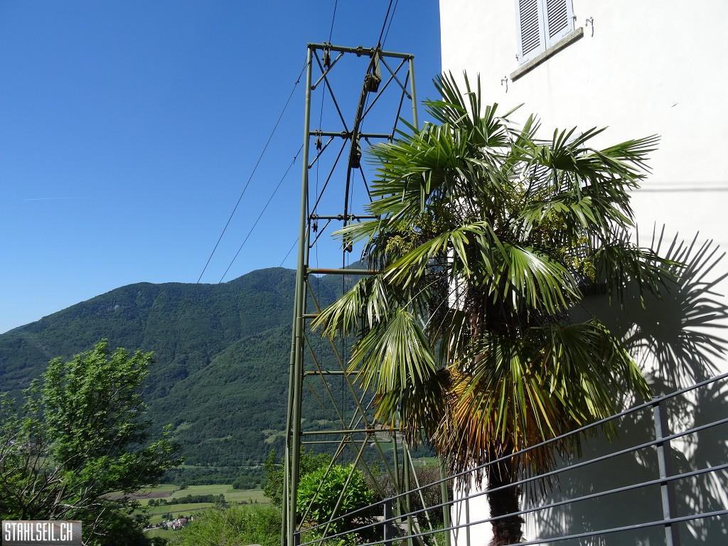 k-DSC02638.JPG