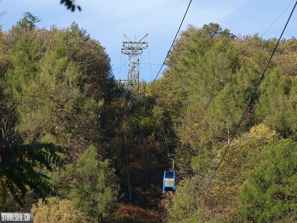 k-DSC00602.JPG