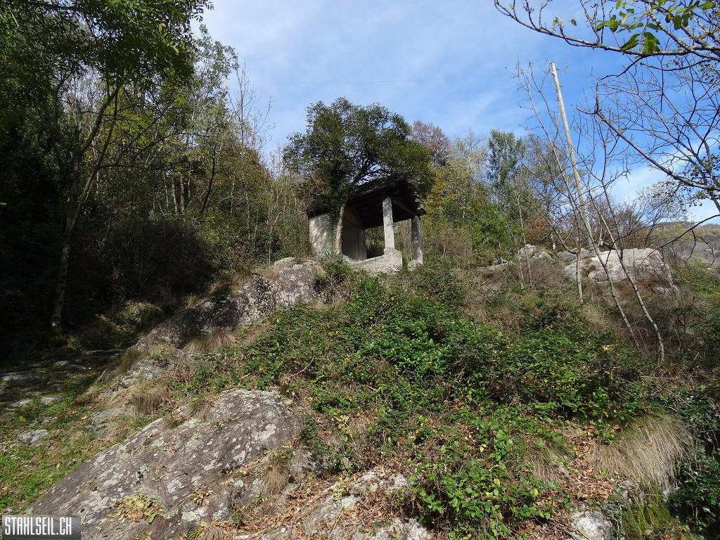 k-DSC05619.JPG