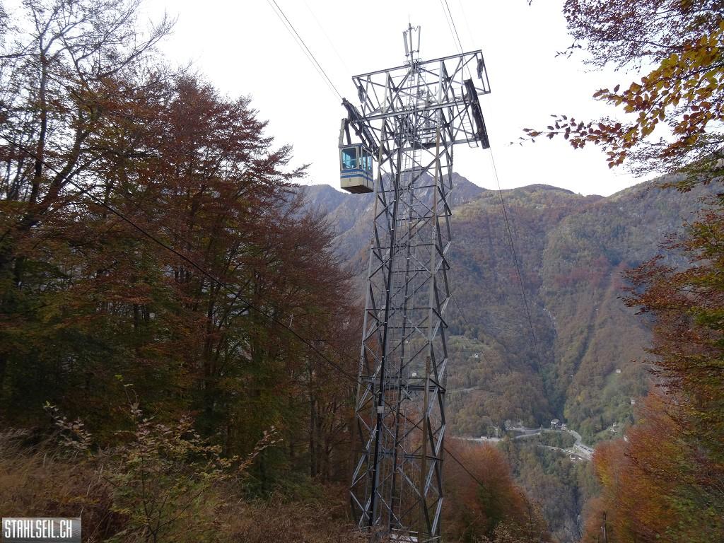 k-DSC05669.JPG