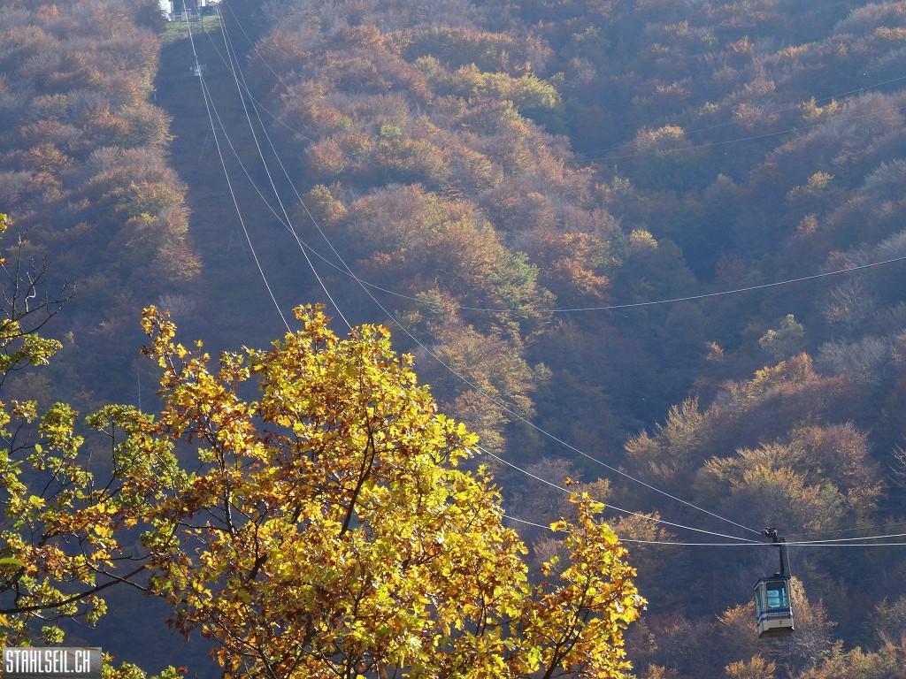 k-DSC05654.JPG