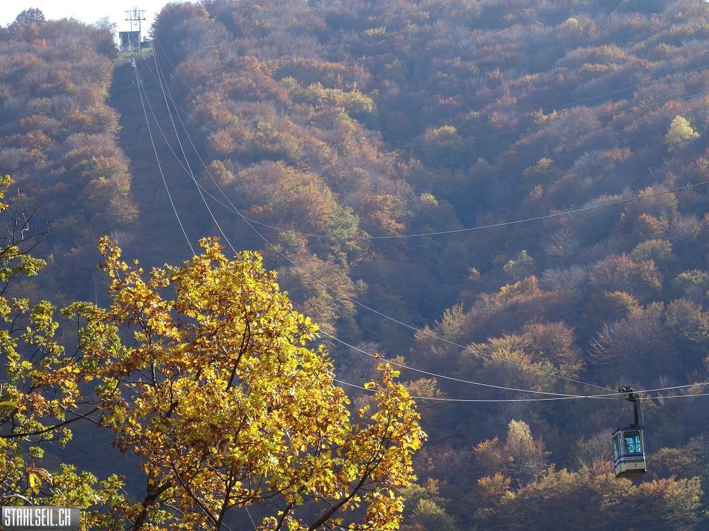 k-DSC05656.JPG