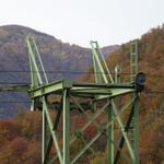 k-DSC05699.JPG