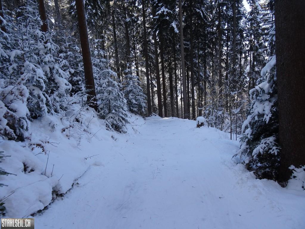 k-DSC06558.JPG
