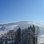 k-DSC06593.JPG