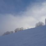 k-DSC06397.JPG