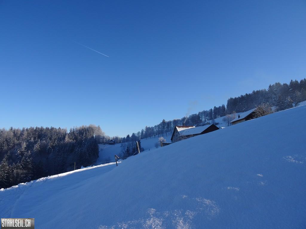 k-DSC06477.JPG