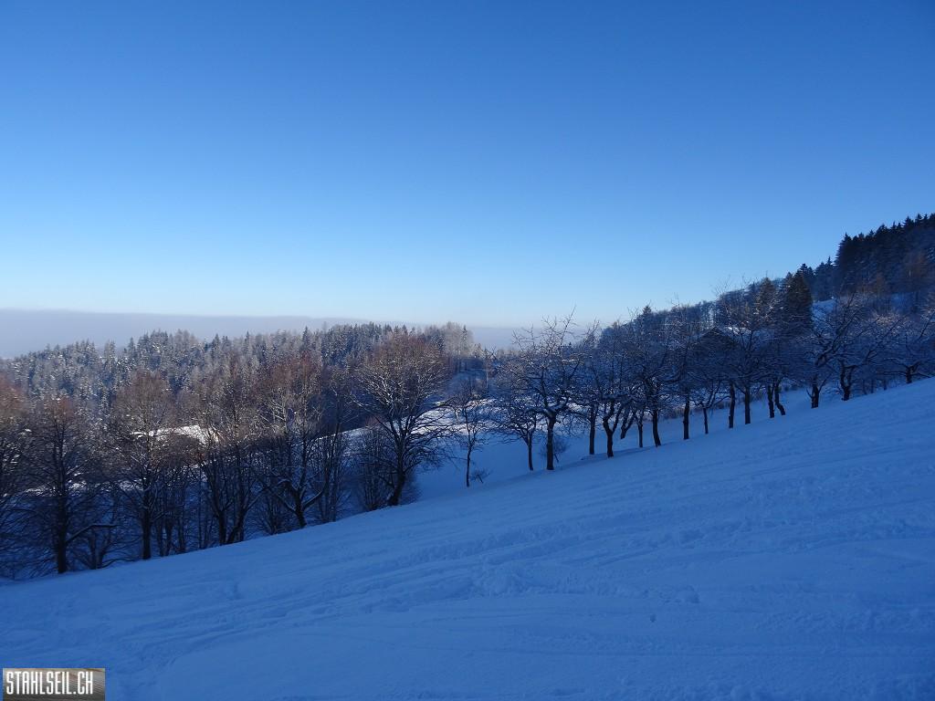 k-DSC06489.JPG