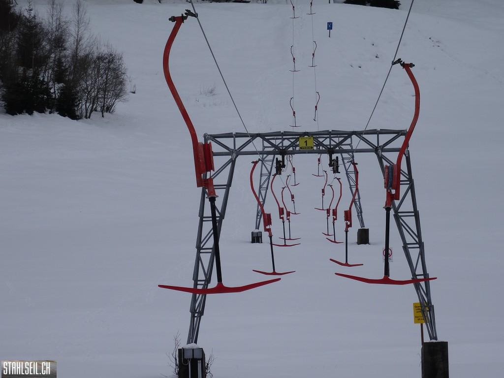 k-DSC07510.JPG