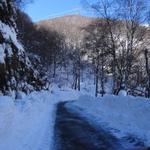 k-DSC08001.JPG