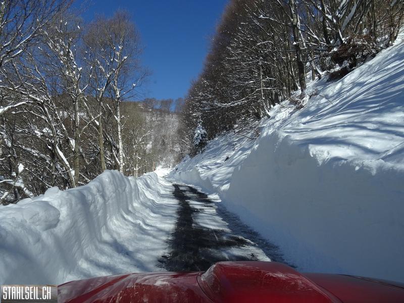 k-DSC08008.JPG