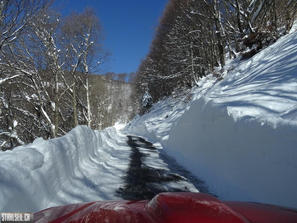 k-DSC08008.JPG