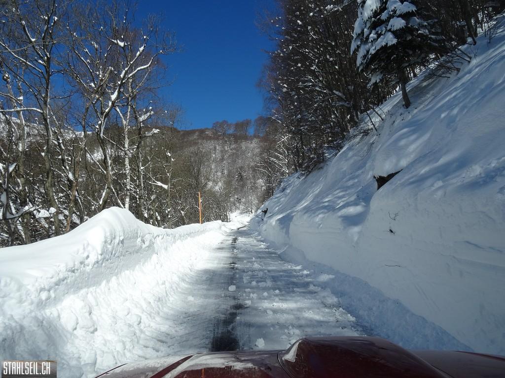 k-DSC08009.JPG