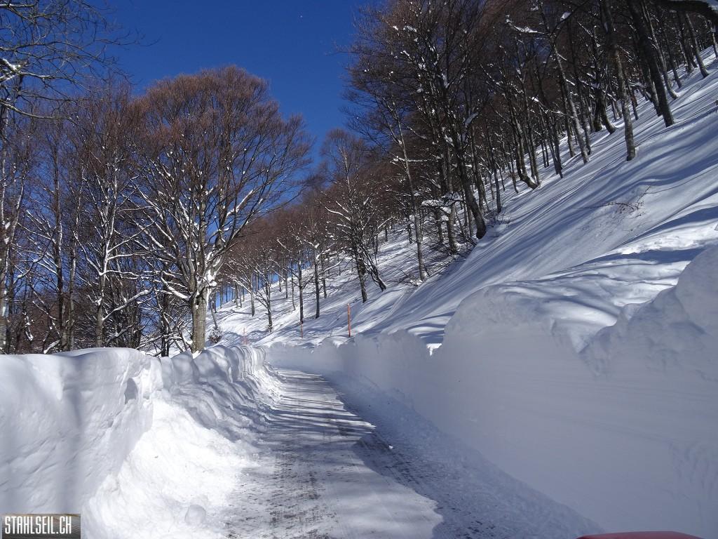 k-DSC08013.JPG