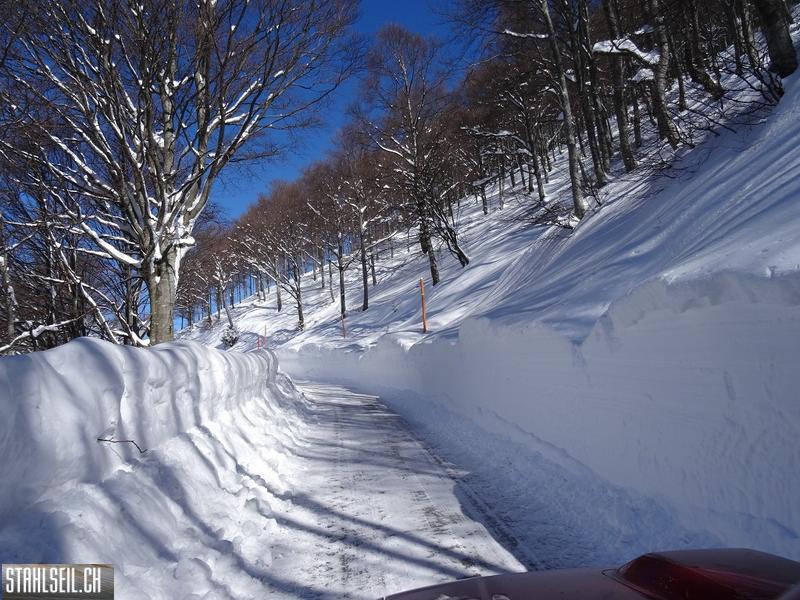 k-DSC08014.JPG