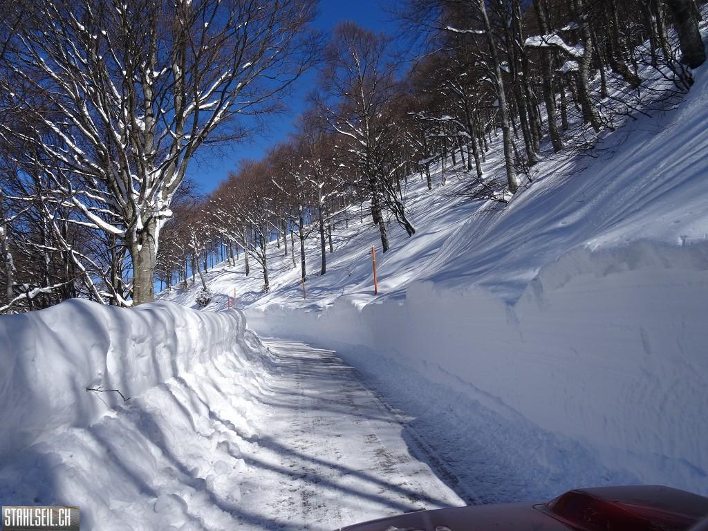 k-DSC08014.JPG