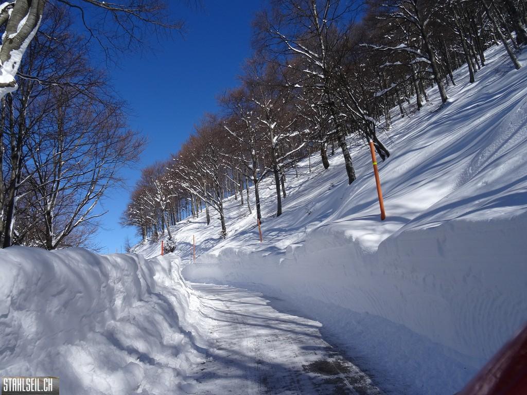 k-DSC08015.JPG