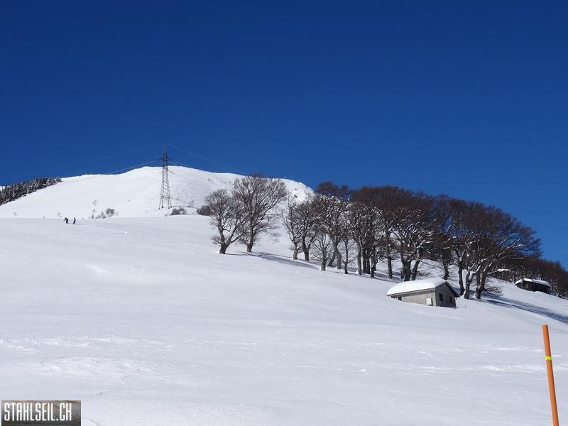 k-DSC08018.JPG