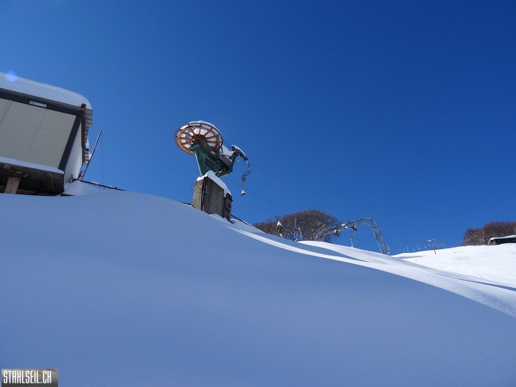 k-DSC08020.JPG
