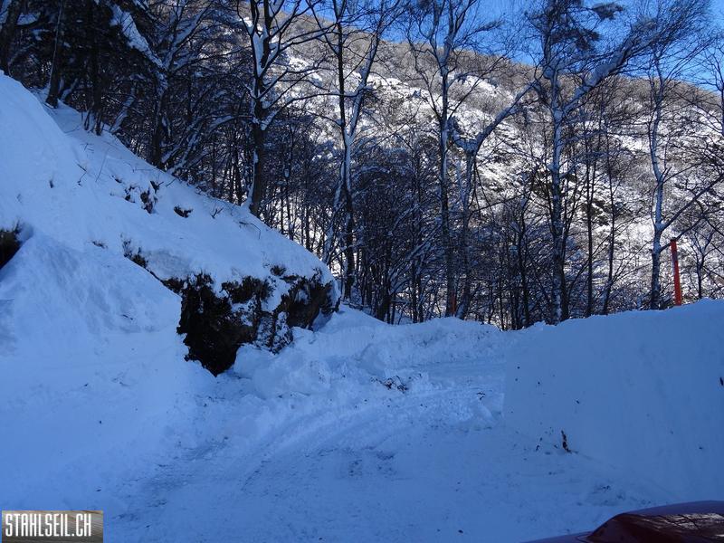 k-DSC08025.JPG