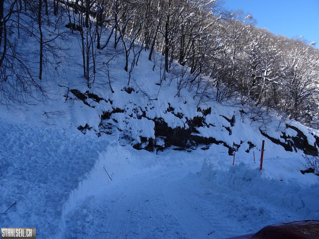 k-DSC08027.JPG