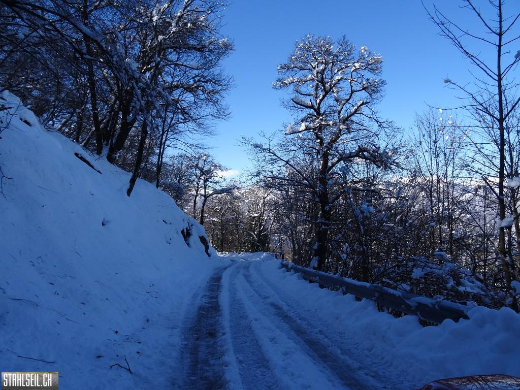 k-DSC08030.JPG