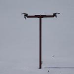 k-DSC08267.JPG