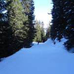 k-DSC08281.JPG
