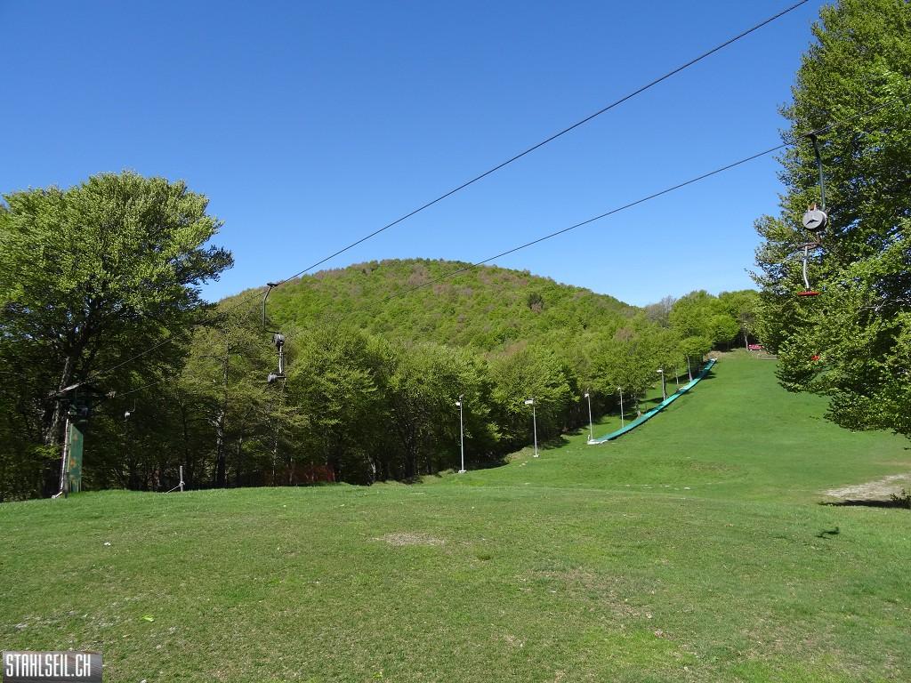 k-DSC09523.JPG