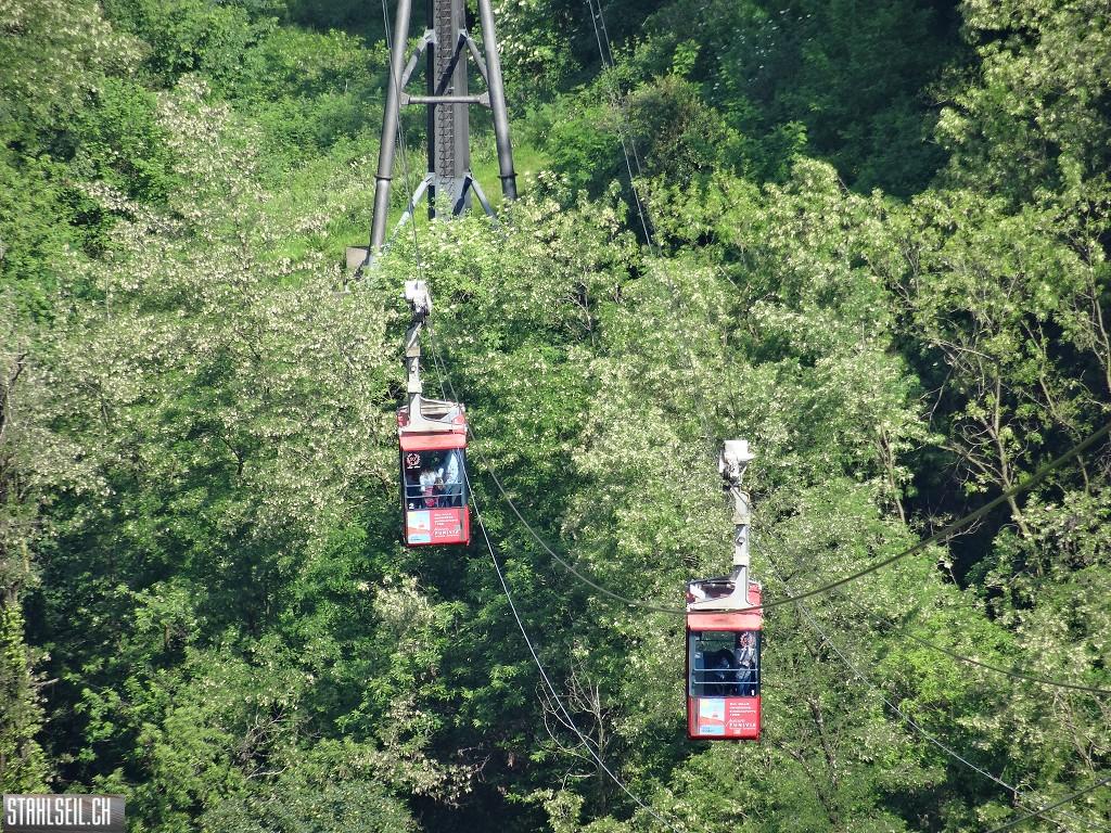 k-DSC09668.JPG