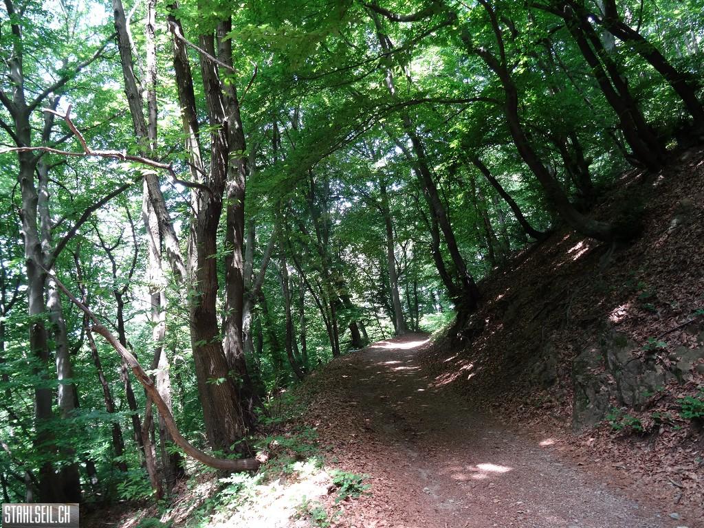 k-DSC09697.JPG