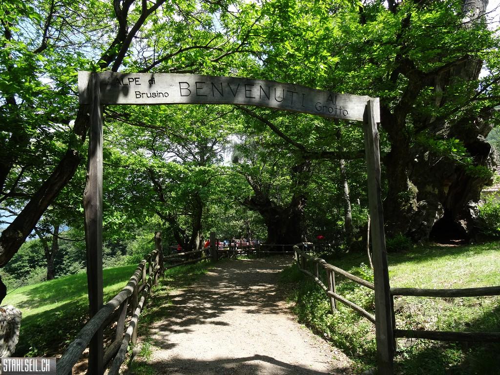 k-DSC09698.JPG